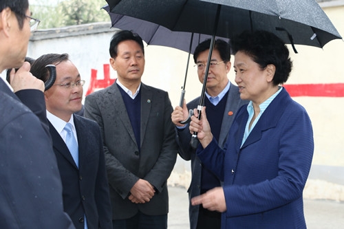 刘延东亲临中国文联文艺志愿服务河南项目点.jpg