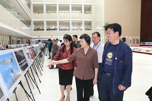 参观摄影展.jpg